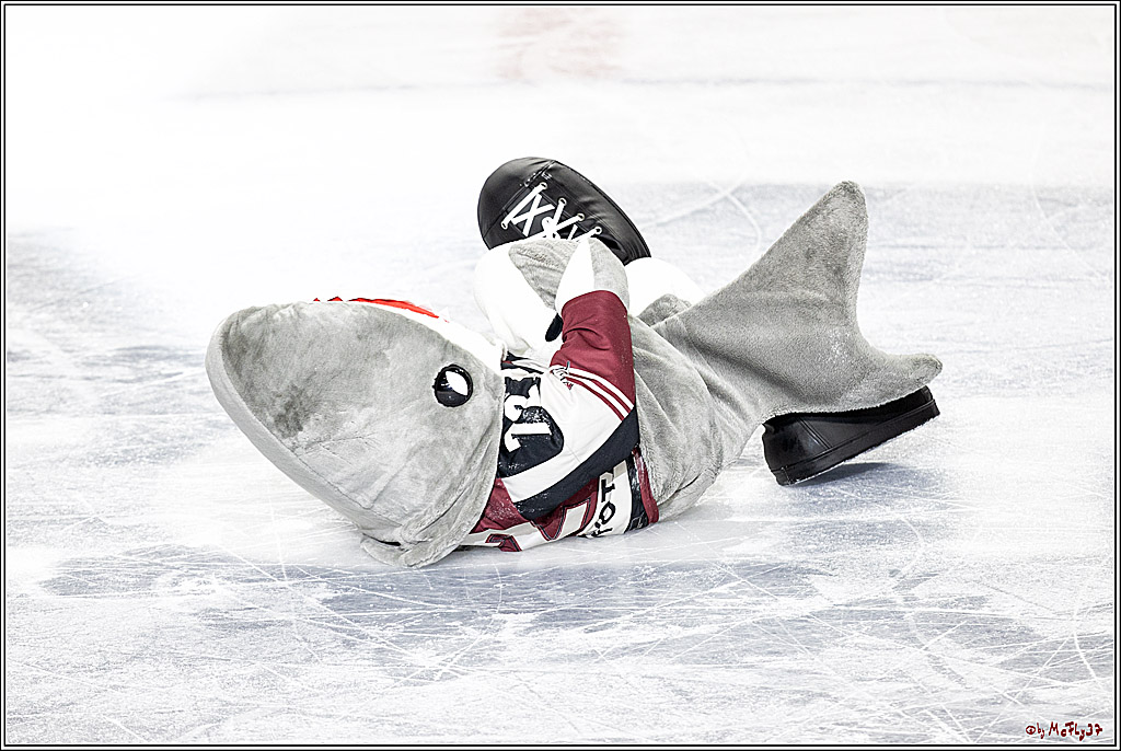 PENNY DEL;  Koelner Haie - Nuernberger Ice Tigers; Koeln, 25.03.2021